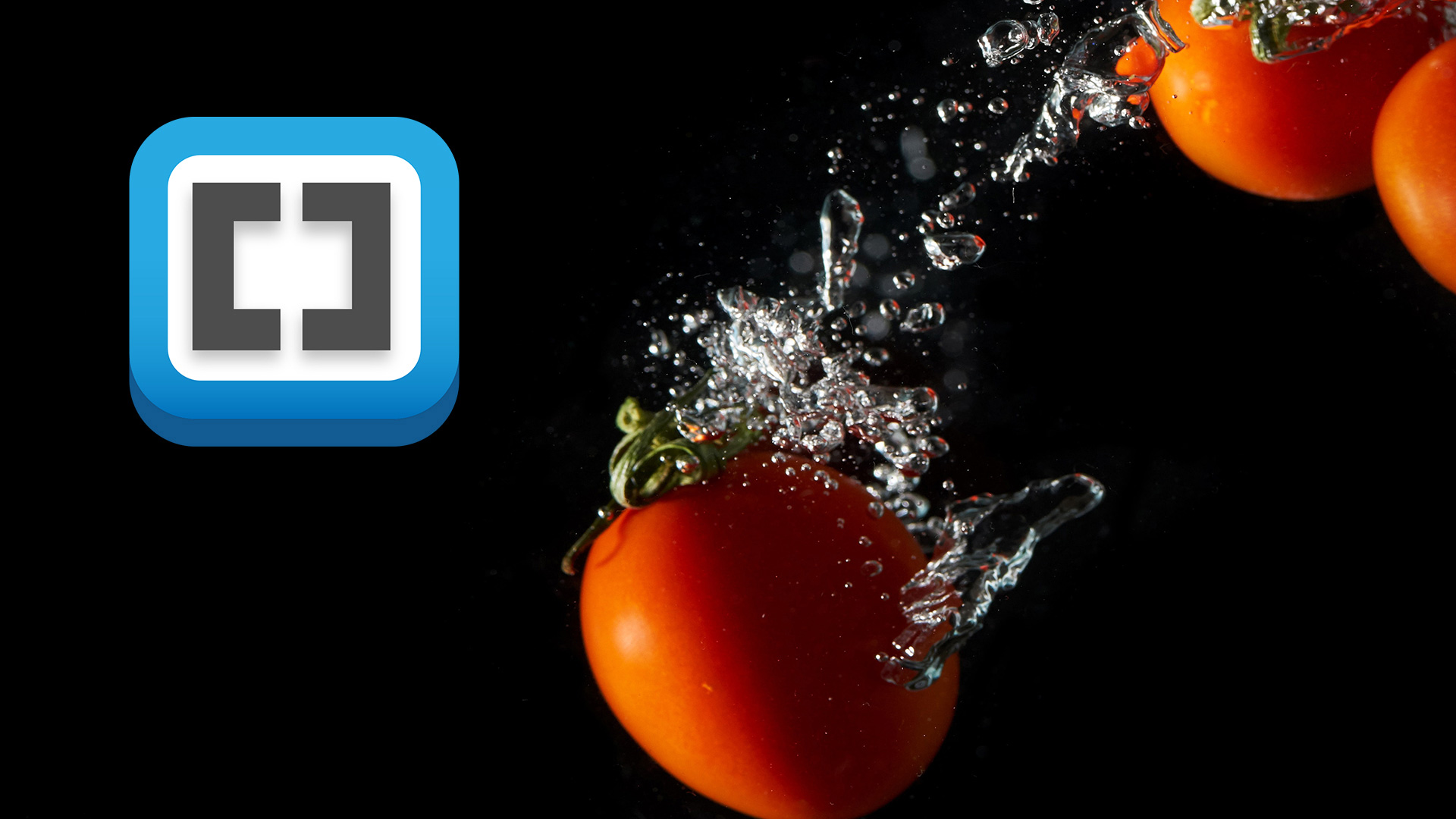 Bracket Editor - IBP Studio